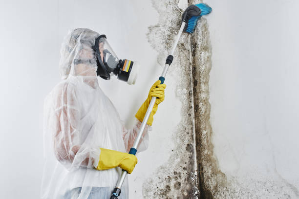 Best Mold Remediation  in Crockett, TX