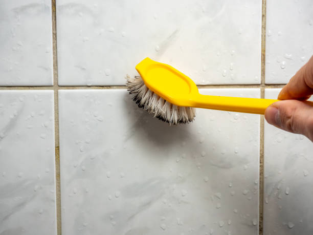 Professional Mold Removal in Crockett, TX