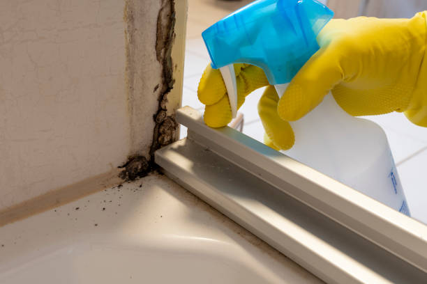 Best Mold Removal Company Near Me  in Crockett, TX