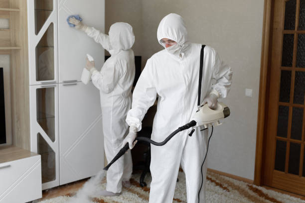 Best Mold Cleaning Services  in Crockett, TX