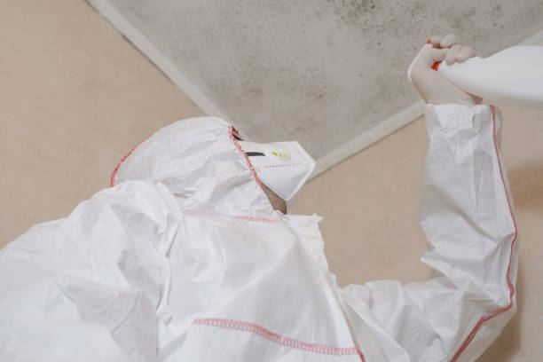 Best Crawl Space Mold Removal  in Crockett, TX