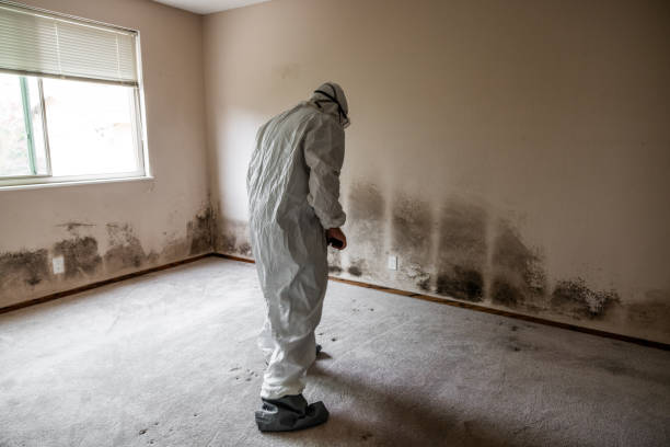 Best Best Mold Removal Companies  in Crockett, TX