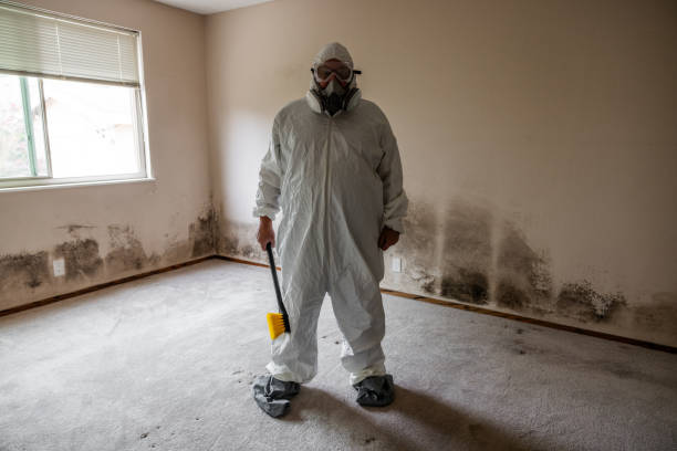 Best Home Mold Removal  in Crockett, TX