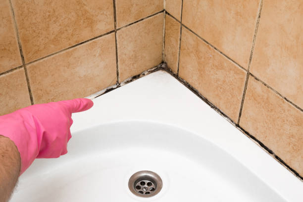 Best Emergency Mold Removal  in Crockett, TX